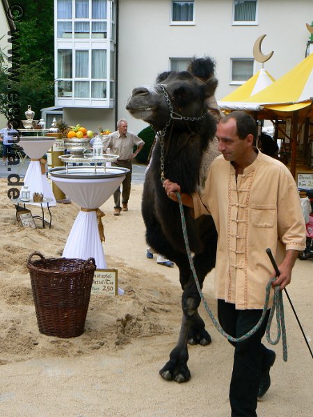 Mittelaltermark_Altena_2011 (181).jpg